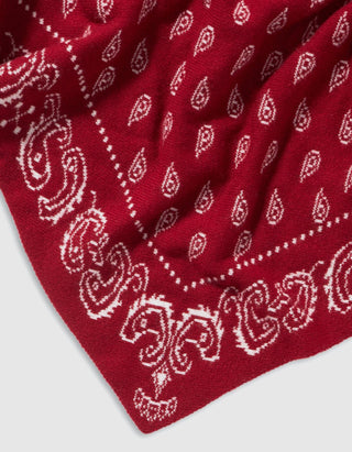 Triangel-Kaschmir-Schal The Wild Rag