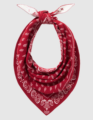 Triangel-Kaschmir-Schal The Wild Rag