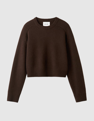 Kaschmir-Pullover mit Rundhalsaussschnitt